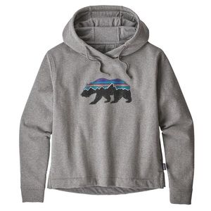Patagonia hoodie